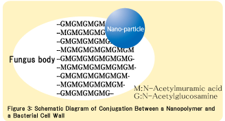 Antibacterial Nanoparticles created by Nano Came exert their effects by adsorbing to the cell wall.