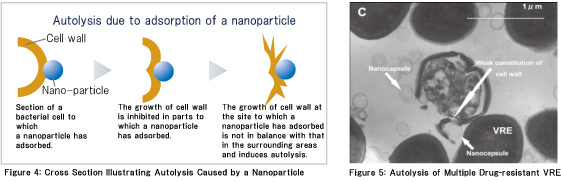 Autolysis due to adsorption of a nanoparticle