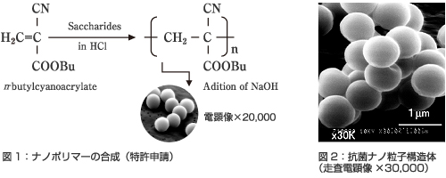 新規抗菌性ナノ粒子