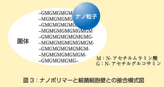 ナノカムが生み出した「抗菌ナノ粒子」は細胞壁に吸着することで、その効果を発揮します。