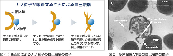 ナノ粒子が吸着することによる自己融解